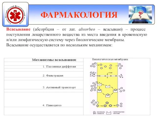 ФАРМАКОЛОГИЯ Всасывание (абсорбция – от лат. absorbeo – всасываю) – процесс