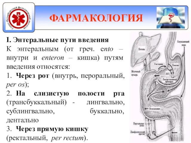 ФАРМАКОЛОГИЯ I. Энтеральные пути введения К энтеральным (от греч. ento –