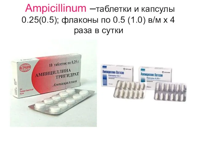 Ampicillinum –таблетки и капсулы 0.25(0.5); флаконы по 0.5 (1.0) в/м х 4 раза в сутки