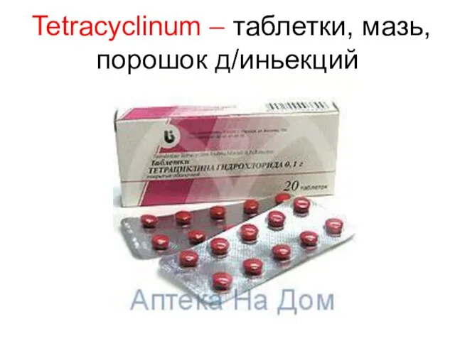 Tetracyclinum – таблетки, мазь, порошок д/иньекций