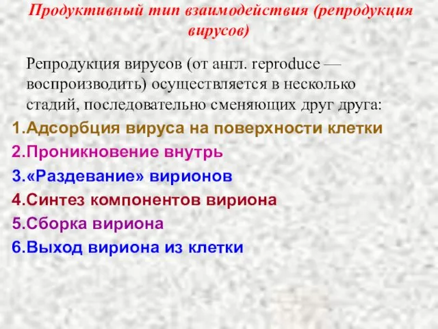 Продуктивный тип взаимодействия (репродукция вирусов) Репродукция вирусов (от англ. reproduce —