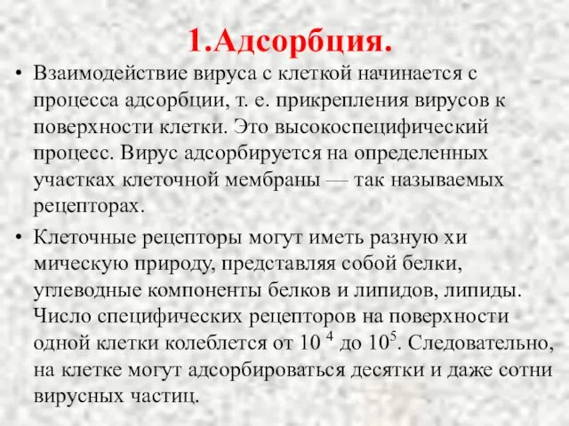 1.Адсорбция. Взаимодействие вируса с клеткой начинается с процесса адсорбции, т. е.