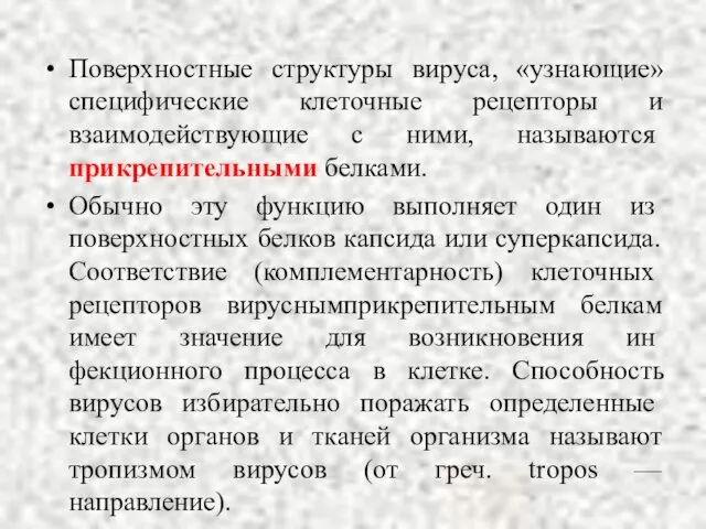 Поверхностные структуры вируса, «узнающие» специфические клеточные рецепторы и взаимодействующие с ними,