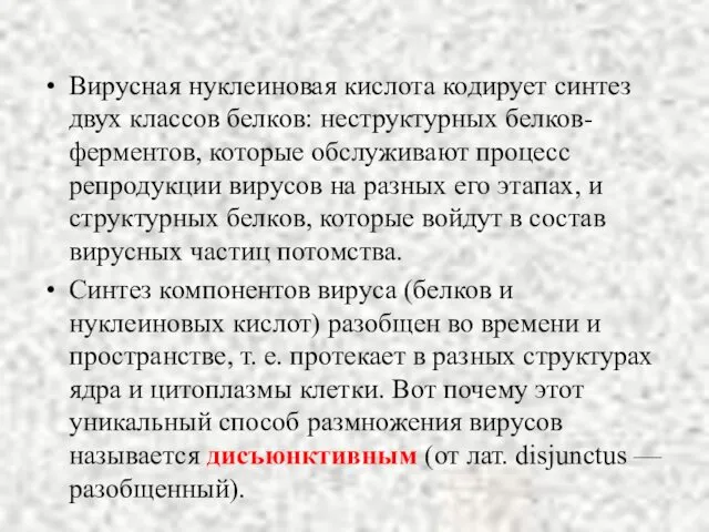 Вирусная нуклеиновая кислота кодирует синтез двух классов белков: неструктурных белков-ферментов, которые