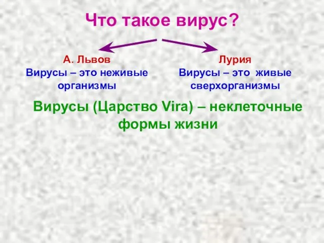 Что такое вирус? Вирусы (Царство Vira) – неклеточные формы жизни А.