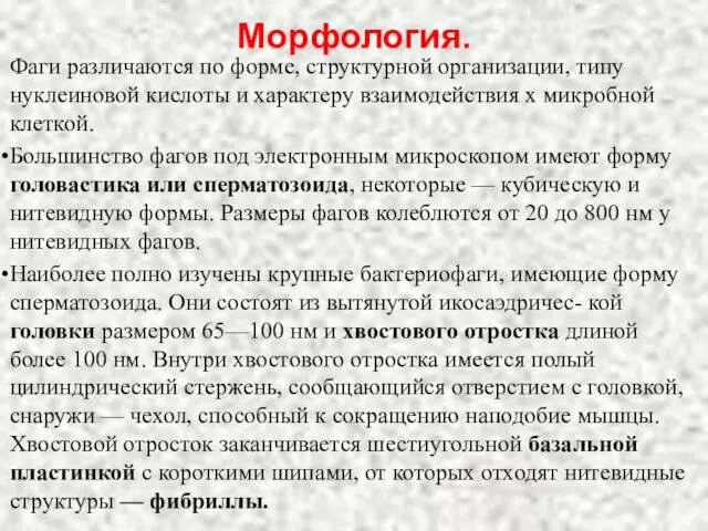 Морфология. Фаги различаются по форме, структурной организации, типу нуклеиновой кислоты и