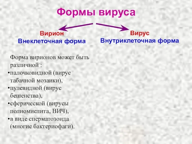 Формы вируса Вирион Внеклеточная форма Вирус Внутриклеточная форма Форма вирионов может