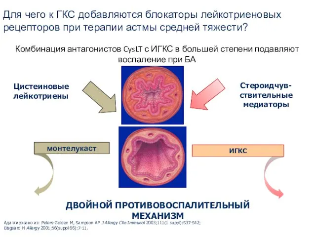 ИГКС монтелукаст Комбинация антагонистов CysLT с ИГКС в большей степени подавляют