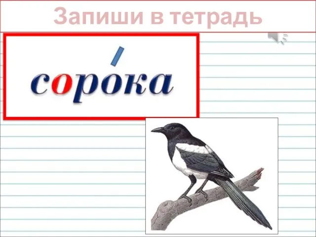 Эта хищница болтлива, Воровата, суетлива, Стрекотунья белобока, А зовут ее ... Запиши в тетрадь