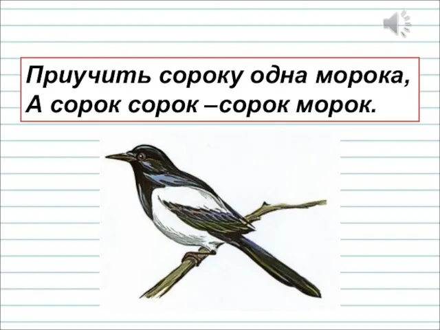 Приучить сороку одна морока, А сорок сорок –сорок морок.