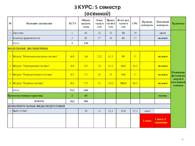 3 КУРС: 5 семестр (осенний)