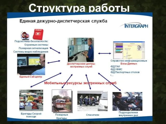 Структура работы