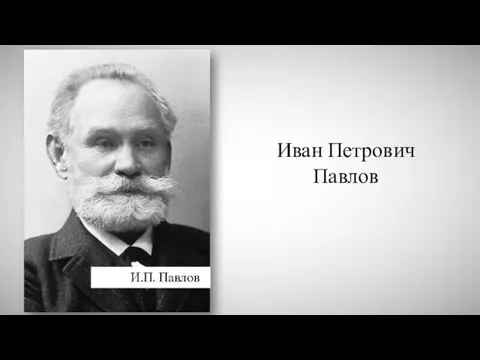 Иван Петрович Павлов И.П. Павлов