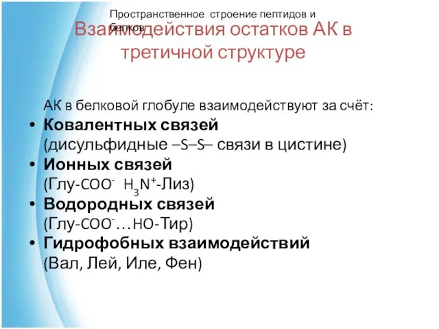 Взаимодействия остатков АК в третичной структуре АК в белковой глобуле взаимодействуют