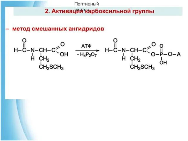 Пептидный синтез