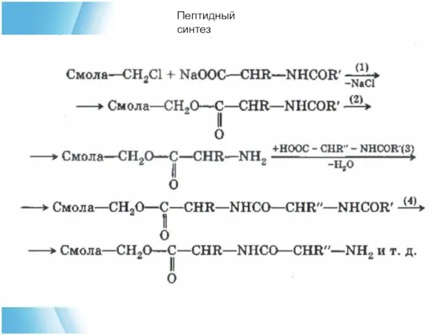 Пептидный синтез
