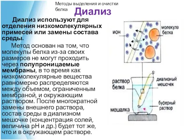 Диализ Диализ используют для отделения низкомолекулярных примесей или замены состава среды.