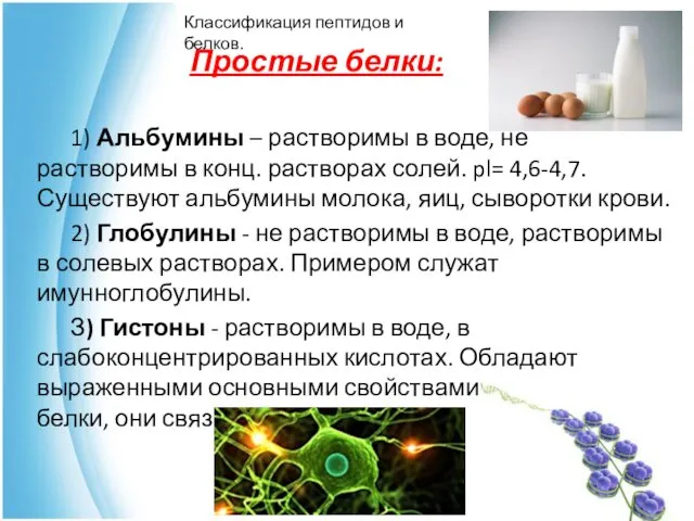 Простые белки: 1) Альбумины – растворимы в воде, не растворимы в