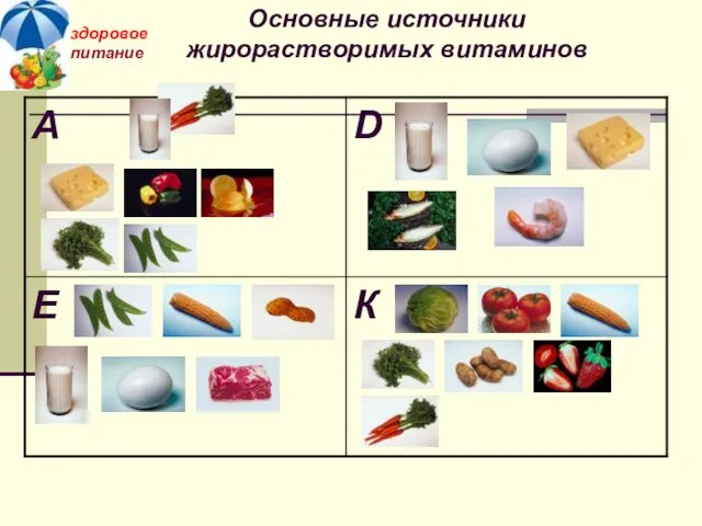 здоровое питание Основные источники жирорастворимых витаминов