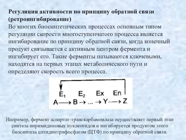 Регуляция активности по принципу обратной связи (ретроингибирование) Во многих биосинтетических процессах