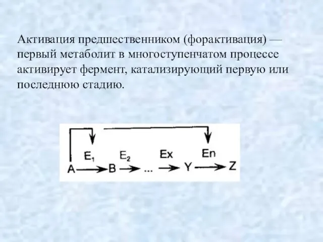 Активация предшественником (форактивация) — первый метаболит в многоступенчатом процессе активирует фермент, катализирующий первую или последнюю стадию.