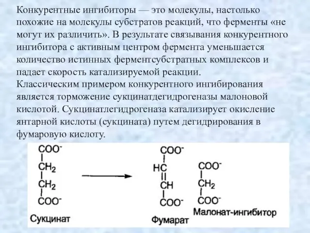 Конкурентные ингибиторы — это молекулы, настолько похожие на молекулы субстратов реакций,