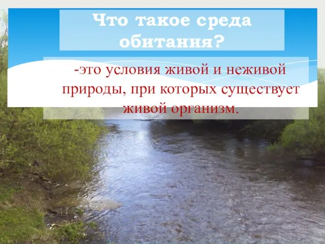 -это условия живой и неживой природы, при которых существует живой организм. Что такое среда обитания?