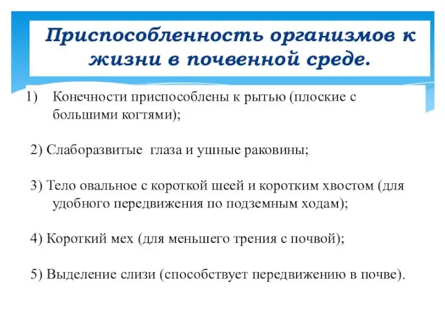 Приспособленность организмов к жизни в почвенной среде. Конечности приспособлены к рытью