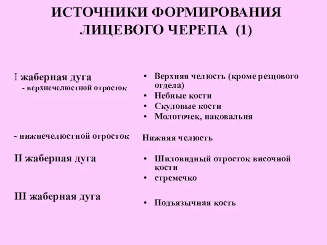 ИСТОЧНИКИ ФОРМИРОВАНИЯ ЛИЦЕВОГО ЧЕРЕПА (1) I жаберная дуга - верхнечелюстной отросток