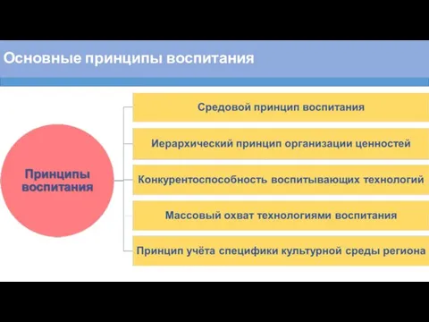 Основные принципы воспитания