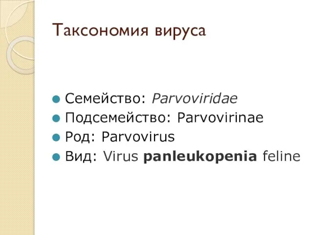 Таксономия вируса Семейство: Parvoviridae Подсемейство: Parvovirinae Род: Parvovirus Вид: Virus panleukopenia feline