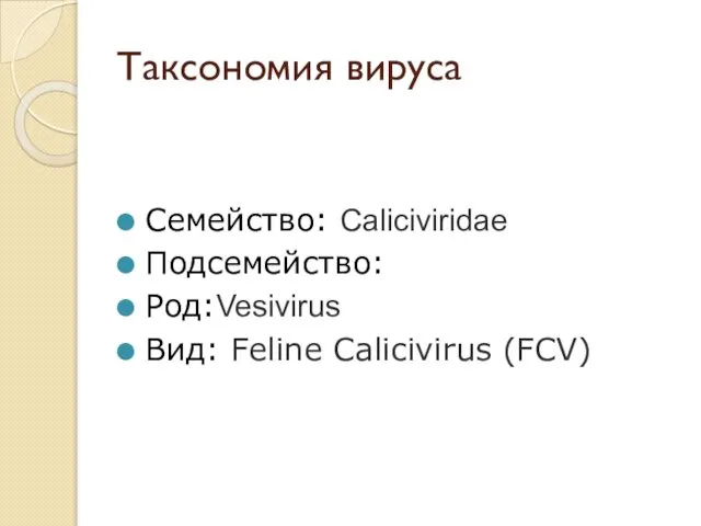 Таксономия вируса Семейство: Caliciviridae Подсемейство: Род:Vesivirus Вид: Feline Calicivirus (FCV)