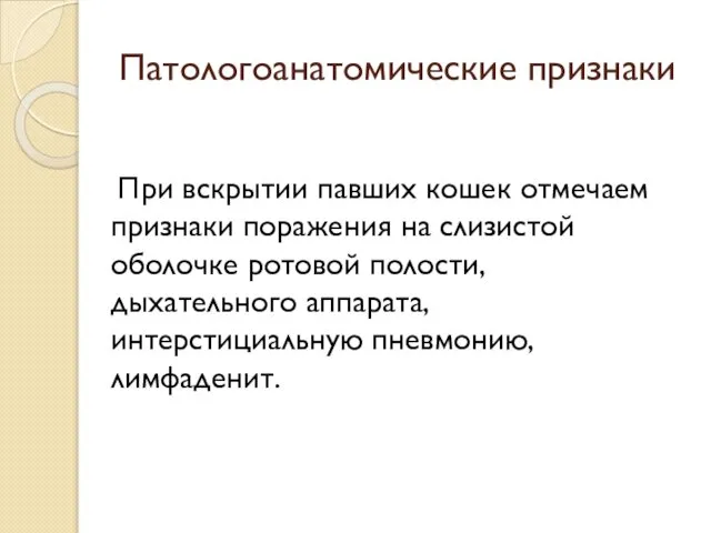 Патологоанатомические признаки При вскрытии павших кошек отмечаем признаки поражения на слизистой