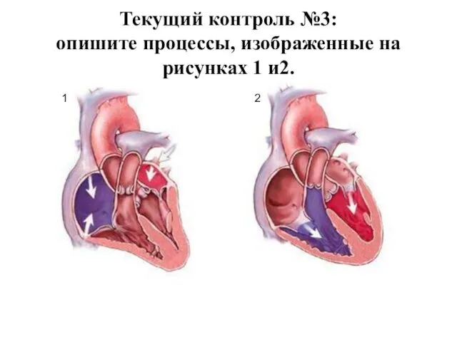 Текущий контроль №3: опишите процессы, изображенные на рисунках 1 и2. 1 2