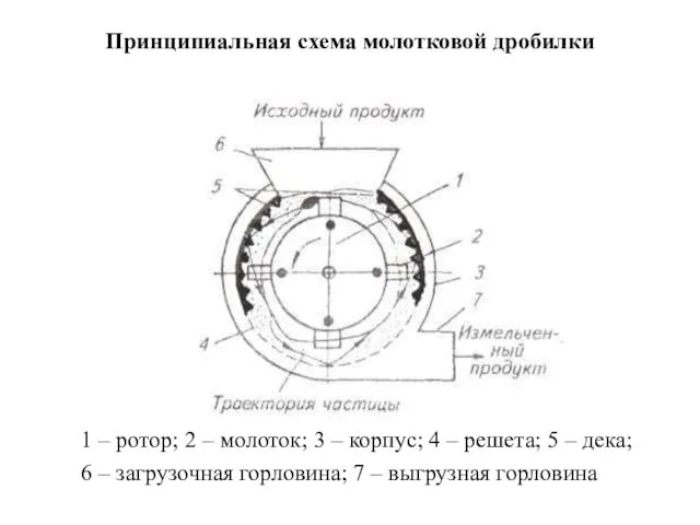 Принципиальная схема молотковой дробилки 1 – ротор; 2 – молоток; 3