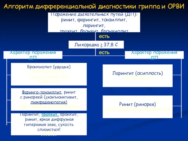 Алгоритм дифференциальной диагностики гриппа и ОРВИ Поражение дыхательных путей (ДП): ринит,