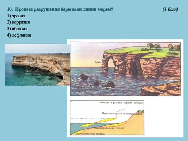 10. Процесс разрушения береговой линии морем? (1 балл) 1) эрозия 2) корразия 3) абразия 4) дефляция