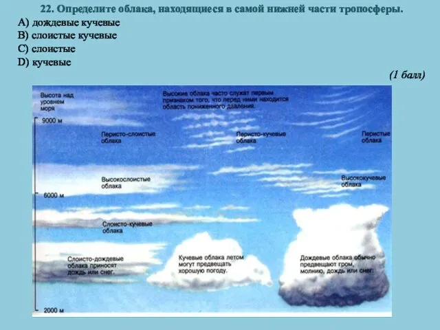 22. Определите облака, находящиеся в самой нижней части тропосферы. A) дождевые