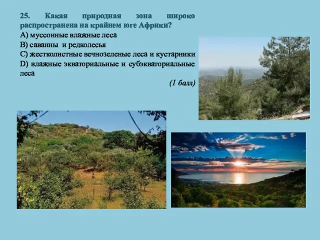 25. Какая природная зона широко распространена на крайнем юге Африки? A)