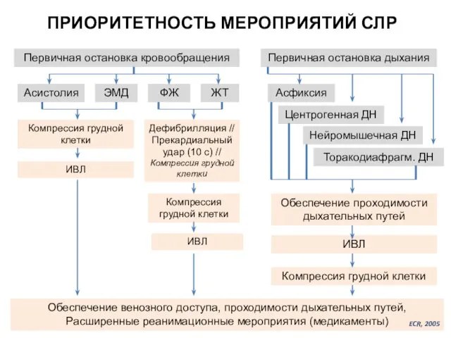 Первичная остановка кровообращения Первичная остановка дыхания Асистолия ФЖ ЖТ Асфиксия Центрогенная