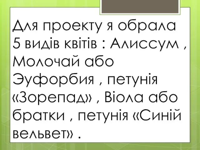 Для проекту я обрала 5 видів квітів : Алиссум , Молочай