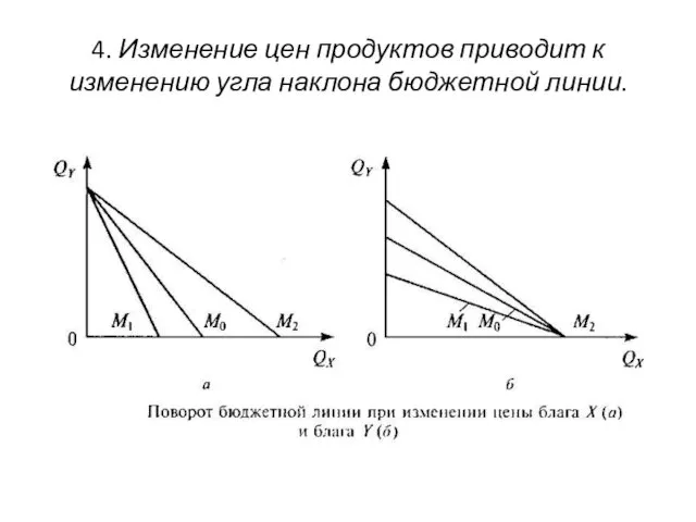 4. Изменение цен продуктов приводит к изменению угла наклона бюджетной линии.