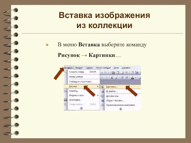 Вставка изображения из коллекции В меню Вставка выберите команду Рисунок → Картинки…