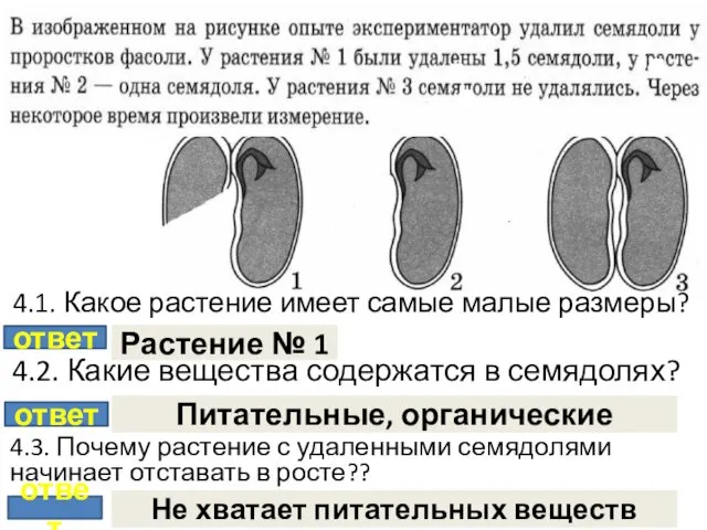 ответ Растение № 1 ответ Питательные, органические ответ Не хватает питательных