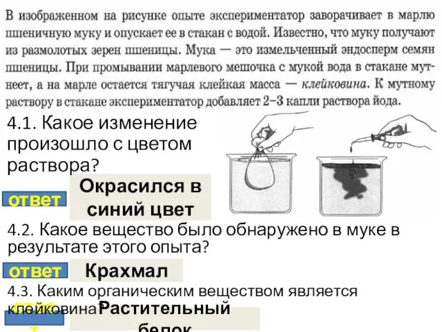 ответ Окрасился в синий цвет ответ Крахмал ответ Растительный белок 4.1.