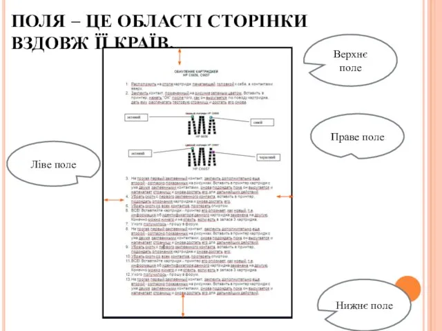 ПОЛЯ – ЦЕ ОБЛАСТІ СТОРІНКИ ВЗДОВЖ ЇЇ КРАЇВ. Праве поле Верхнє поле Ліве поле Нижнє поле