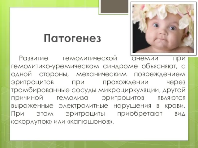 Патогенез Развитие гемолитической анемии при гемолитико-уремическом синдроме объясняют, с одной стороны,