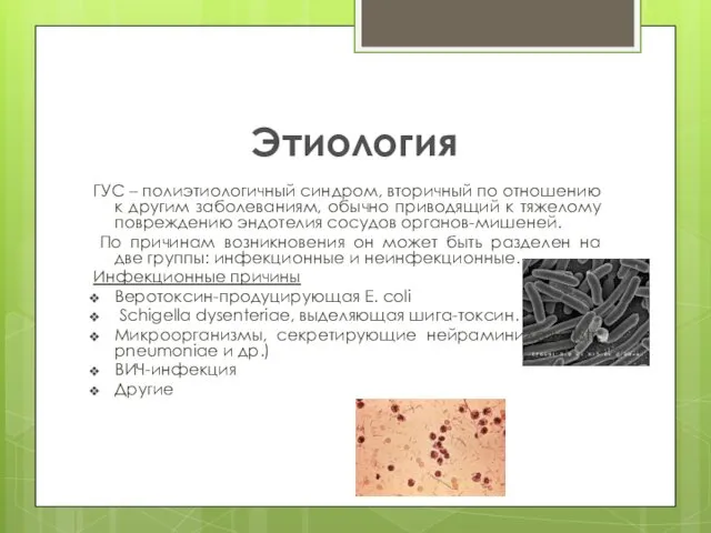 Этиология ГУС – полиэтиологичный синдром, вторичный по отношению к другим заболеваниям,