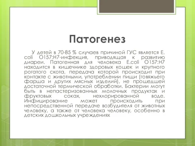 Патогенез У детей в 70-85 % случаев причиной ГУС является E.