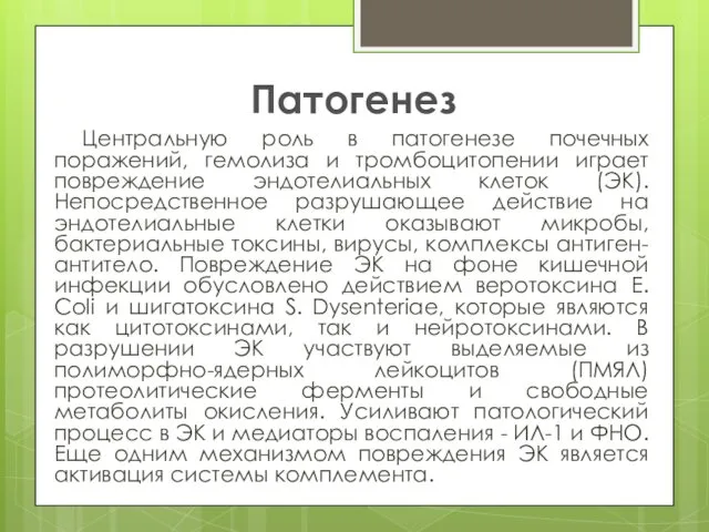 Патогенез Центральную роль в патогенезе почечных поражений, гемолиза и тромбоцитопении играет